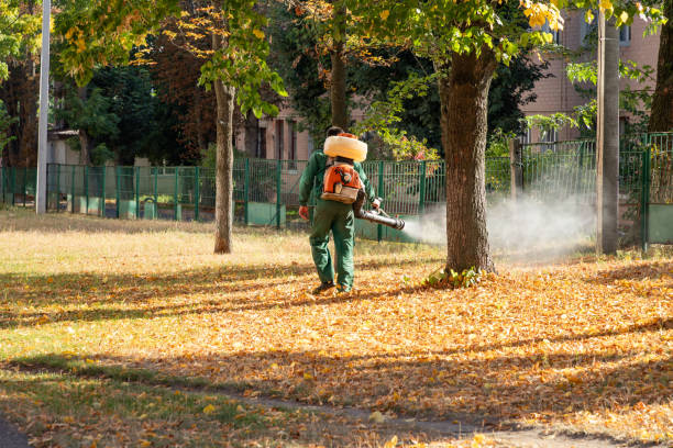 Best Mosquito Control Services  in Trevorton, PA