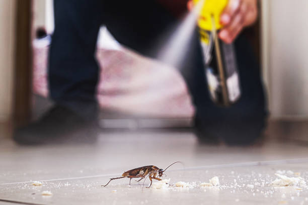 Best Affordable Pest Control Services  in Trevorton, PA