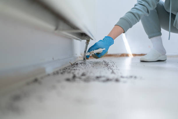Reliable Trevorton, PA Pest Control Solutions